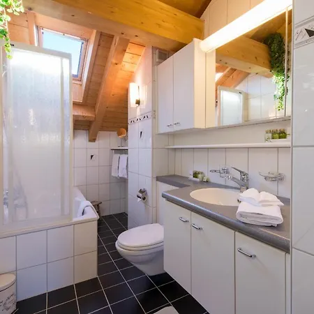 Rose Penthouse Appartement Wengen